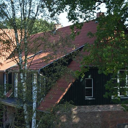Ferien Hohes Elbufer Hotel Schnakenbek Bagian luar foto